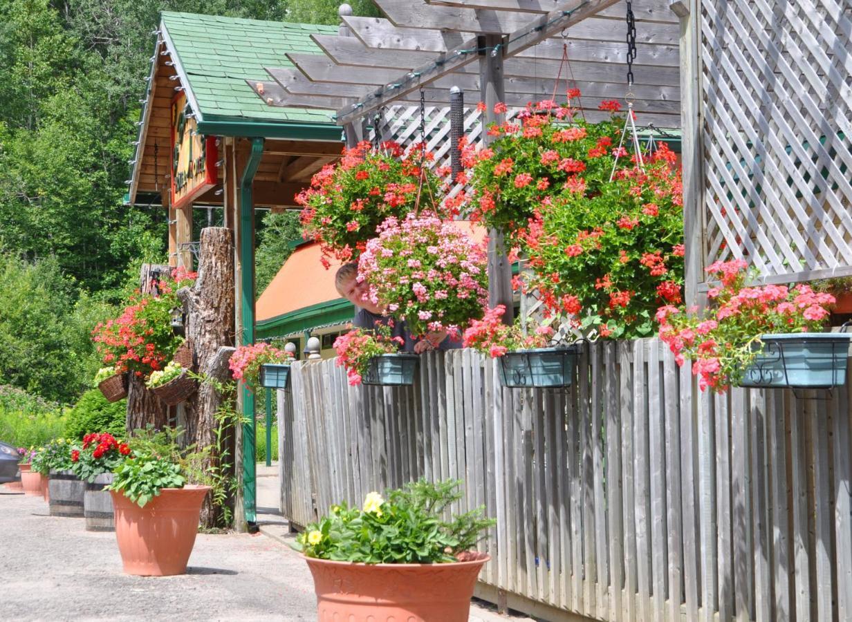 Le Boise Du Lac Mont-Tremblant Eksteriør billede